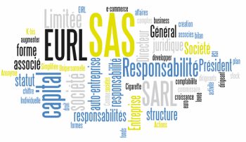 SAS : Société par actions simplifiées