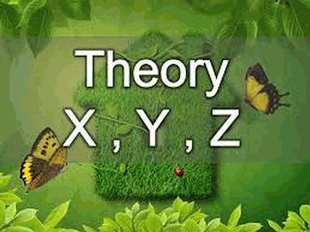 Théorie X, Théorie Y, Théorie Z