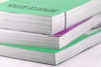Rapport de gestion